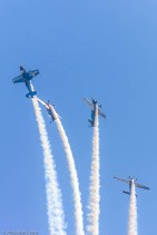 The Blades, Extra 300L